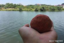 一加小药就死窝？野生大鲤鱼太狡猾，老钓友教你怎么用