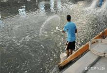 虾塘底泥发黑发臭用什么改底最好？虾塘泥质发黑发臭怎样处理？