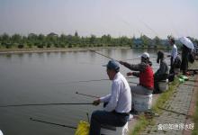 天气转凉钓场黑坑水体发黑怎么办？黑坑水体发黑怎么调？解答来了