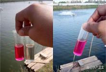 虾塘亚硝酸盐反反复复怎么处理？虾塘亚硝酸盐超标怎样调水？速看