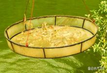 虾塘泡沫多怎么处理最好？虾塘起泡沫怎么解决？针对处理效果佳