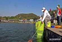 黑坑水质黄浑怎么回事？黑坑水偏黄是什么原因？3分钟搞懂不踩雷