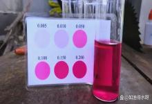 鱼塘亚硝酸盐反复超标？80% 养殖户漏了这步，难怪越治越糟！