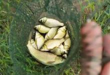 野钓人最无奈的10件事，经历过一半以上你必是老手