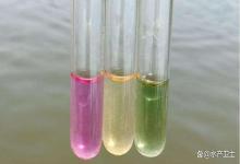 鱼塘氨氮和亚硝酸盐过高怎么解决？氨氮亚盐超标为什么总降不下来？