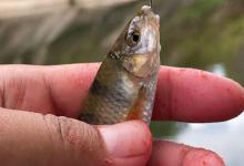 秋钓避坑指南：这5种天气鱼儿“不开口”，老钓友都躲家里！