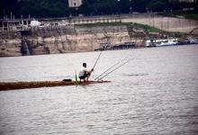 风向决定鱼口！老钓友私藏3大‘看风技巧’，每次下竿都狂拉！