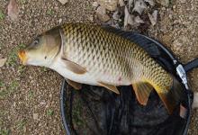 鱼儿口味大揭秘！对“味”下饵才是爆护的关键