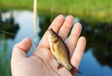 野钓没口？死守还是换位？这些信号教你不走空！