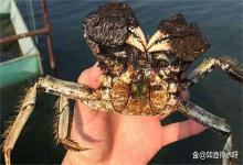 螃蟹塘亚硝酸盐高用什么方法补救？蟹苗塘亚硝酸盐超高怎么办？