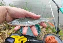 户外钓鱼的“痛点”和“爽点”是什么？钓友们为何痛并快乐着？