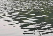 走水要怎么调漂？说到底就2种方法，一种来鱼快一种钓得大