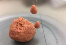 钓鱼新手必看！这4个最影响渔获的常见错误，第2个几乎人人都中招