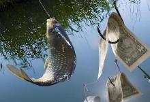 野钓大鲫鱼爆护秘籍：这样打窝养窝，渔获翻倍轻松上手！