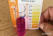 鱼缸硝酸盐和亚硝酸盐怎么降下来？鱼缸亚硝酸盐超标怎么办？速看