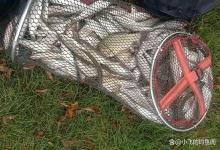 金秋钓翘嘴，这种方法才能连杆，一天钓10斤也不难