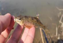 经验越老，误区越深？这5个钓鱼习惯正在让你一次次空军，现在改还来得及！