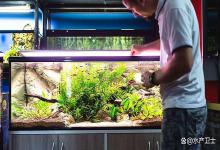 怎么安全的用自来水给鱼缸换水？换水直接用自来水有哪些注意事项？