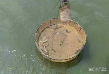 水产养殖池塘底黑发臭怎么解决？池塘底发黑发臭怎么办？解答来了