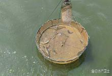 土塘养虾阴雨天气池塘返底怎么处理？下雨后虾塘返底如何快速处理？