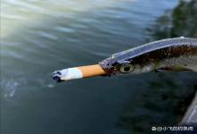 盘点那些只有钓鱼佬能听懂的“黑话”！