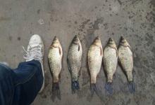 爆护不再靠运气！老钓友揭秘8大“反空军”秘籍，新手秒变高手！