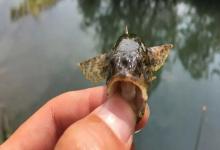 「爆护指南」钓鱼人必备口诀！从选位到饵料，48条精华总结，每条都是干货！