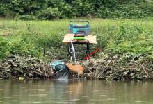 3秒没看住，5斤鱼获全被猫偷走！河南钓鱼人遭流浪猫“偷家”，网友：小猫提前过年了！