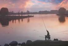 中鱼又跑鱼？6大元凶全曝光！这样调整，告别“煮熟的鸭子飞了”！