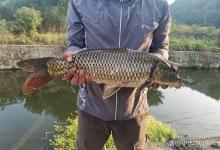 钓大鱼时，最容易跑鱼的3个瞬间，80%的钓友都经历过