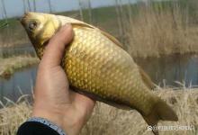 中秋到来后野钓的4点建议