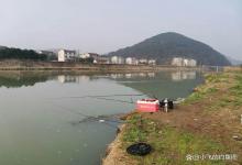 没有水草怎么钓鲫鱼？找到这几种位置就错不了