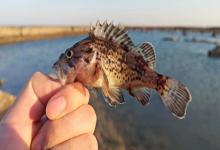 别再被罚了！2025最新垂钓法规解读，这些行为直接拉黑