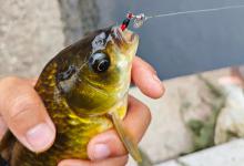 子线总是打结？一个动作教你解决，省下大笔钱！