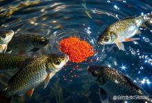 揭开钓具和鱼饵测试行业的内幕