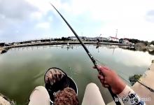 钓黑坑鲤鱼泡泡球鱼饵的优点和缺点