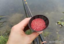 泡酒米到底该用什么“米”？小米和大米哪个鱼更爱吃？