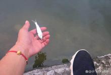 国庆假期钓鱼攻略，我有3个不成熟的建议！