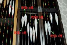 「钓鱼干货」一文搞懂浮漂：材质、种类、吃铅量与灵敏度全解析，教你选出真正“好漂”！