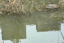 第一天狂拉的钓位，为什么第二天再去就钓不到了？