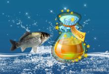 钓鱼小药在野钓有效和无效的场景