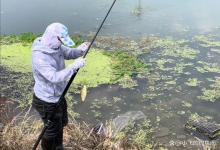 传统钓戳草洞，用多粗的线？3套线组足可大小通杀！