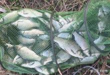 低水温钓鱼,调漂的正确思路,方法不对提竿全空枪