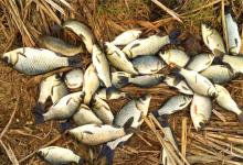 秋钓爆护竟如此简单？牢记“三不原则”，胜过千款神饵！