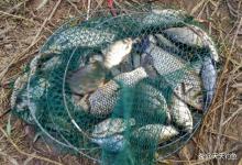 秋末野钓，4种天气别出门，最后这种很有迷惑性