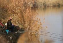 立冬后钓鱼技巧攻略｜掌握这些诀窍，寒冬照样连竿上鱼！