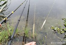 天冷钓鲫鱼用多大的浮漂？别被忽悠，就这2种走哪都不吃亏