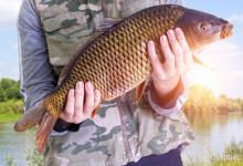 白天和晚上钓鱼的区别