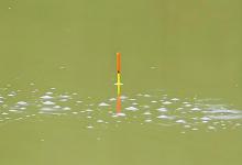 浮漂吃铅量选择｜记住这个万能公式！选对吃铅量，调漂就成功了一半！