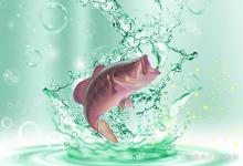 水温和溶氧对钓鱼影响的优先级